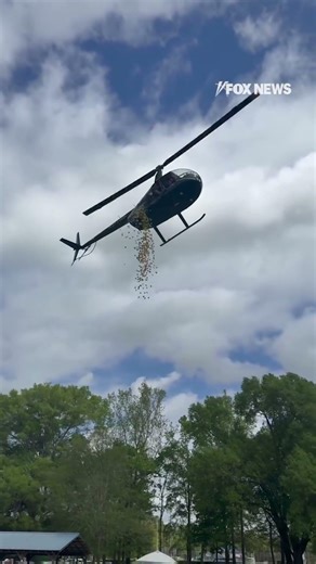 Helicopter drops Easter eggs filled with candy #foxnews #news #us #fox
