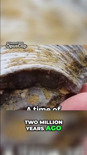 Earth's Evolution Exposed: Geological Time Scale Revealed