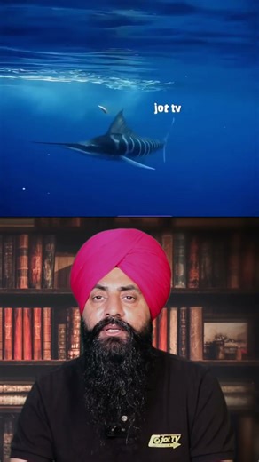 The Deadliest Catch: World's Most Dangerous Fish 🐟💀 #DangerousFish #VenomousFish #DeadlySeaCreatures