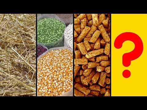 From Hay to Grain: A Guide to Goat Feeds and Their Benefits - GOAT Farming Feeds