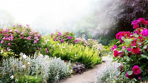 Furtwangen: Kleine Paradiese in großer Höhe