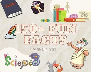 229 Fun Facts For Kids - With Free Printable!