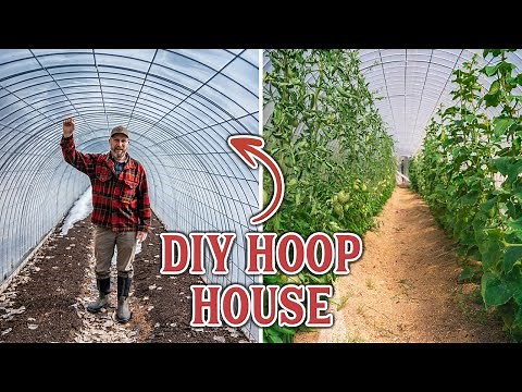 (DIY GREENHOUSE) How We Made Our Own Inexpensive Hoop House