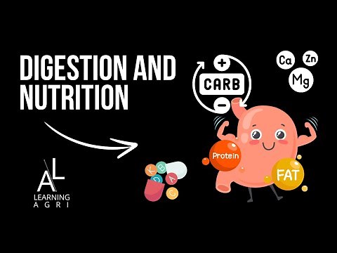Digestion and Animal Nutrition