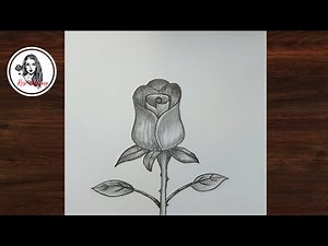 How to Draw a Rose Easy Step by Step | Easy Pencil Drawing of a Rose
