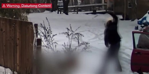 Nonprofit seeks justice for dog abused on video