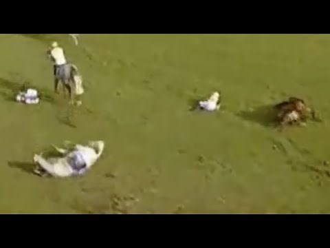 Horse Racing Death 78 - Netherley at Ayr Racecourse