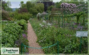 How to Make a Food Forest: Free Food Forest Workshop Notes