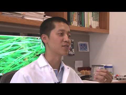 The Science Behind Traditional Chinese Medicine - MIT Department of Biology