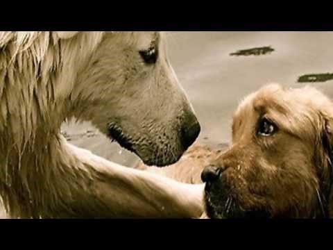 Journey Open Arms Official Video