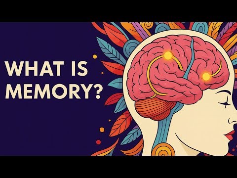 Memory | Your Brain's Rewritable Hard Drive Explained