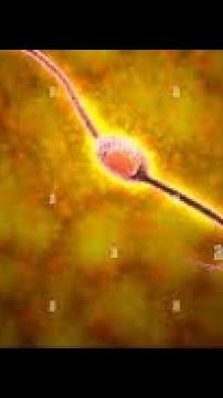 Neurons and its Types by Dr.Pramod Sir