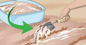 This company is so amazing