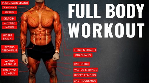 The #1 Full Body Workout Plan for Growth (FULLY EXPLAINED)