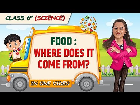 FOOD: Where Does It Come From? || Full Chapter in 1 Video || Class 6th SCIENCE || Champs Batch