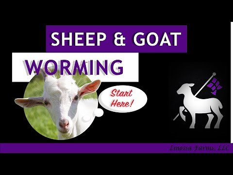Sheep and Goat Worming: A Comprehensive Guide for Beginners