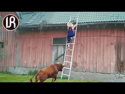 60 Moments When Things Went Wrong | Fails Compilation