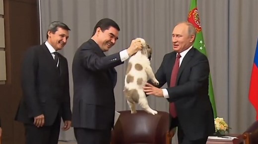 President Putin gets a puppy