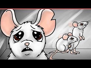 Draw My Life: Laboratory Mice