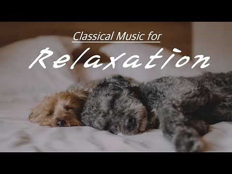 [NO ADS, 2 HOURS] Classical Music for Relaxation | Beethoven, Mozart, Bach, Tchaikovsky, Vivaldi…