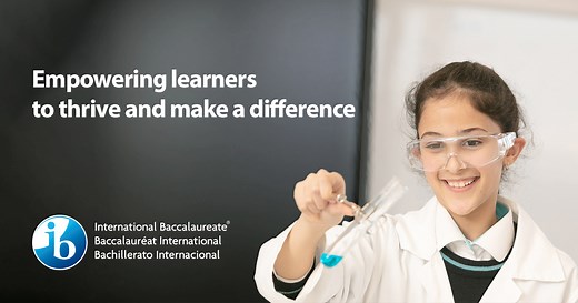 What is the Diploma Programme?