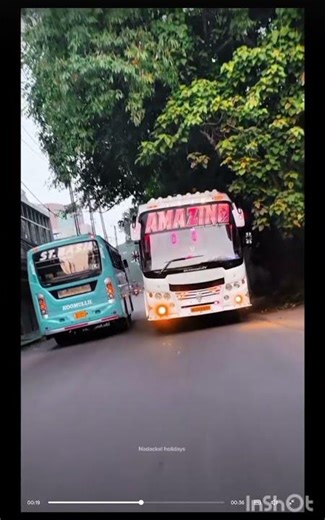 amazing bus