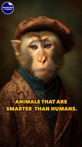 Animals That Are Smarter Than Humans. | Engineering & Science