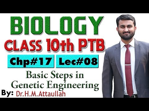 Basic steps in genetic engineering | Chapter # 17 | Biology Class 10th | Lec.# 8