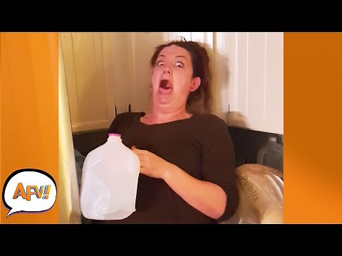 FREAKED OUT at the Fridge! 🤣 | Best Funny Pranks & Fails | AFV 2022