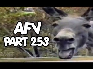 ☺ AFV Part 253 (NEW!) America's Funniest Home Videos (Funny Clips Fail Montage Compilation)