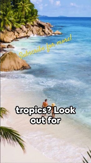 Demystifying Travel Insurance: Your Ultimate Guide to Mastering Coverage and Claims #travelsmart