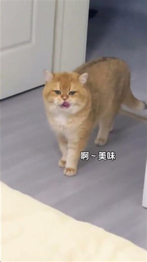 Morning Wake-Up Challenge: Stay Alert All Night