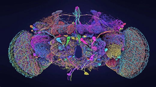 Is consciousness an emergent process or a fundamental force?