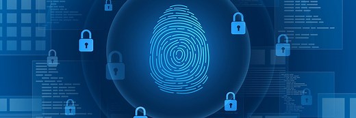 Data protection vs. security vs. privacy: Key differences | TechTarget