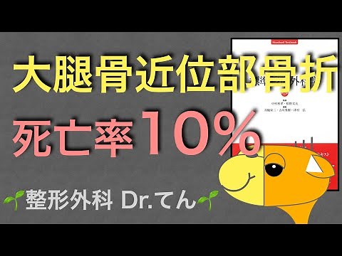 死亡率10％！ 大腿骨近位部骨折について解説