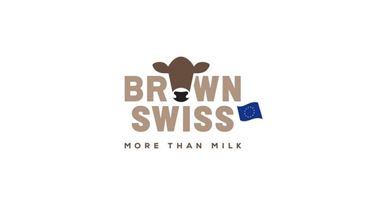 The Brown Swiss breed is winning hearts in Slovenia, thanks to its ideal milk ratio between quality and quantity… but that’s just part of the story! 🌿🐮🇸🇮 #brownswiss #morethanmilk #meandmybrownswiss #reeloftheweek | European Brown Swiss Federation