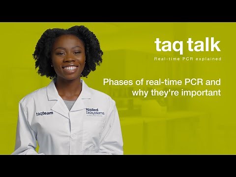 Phases of real-time PCR and why they're important--Taq Talk Episode 2