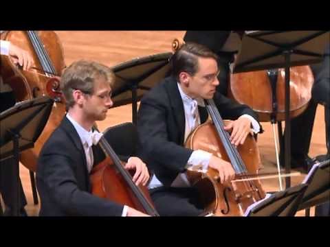 The Flight of the Bumblebee