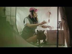 MIU ĐI MỘT MÌNH - MIU LÊ | OUTDOOR CAMPING | TẬP 1