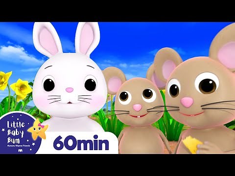 Little Bunny Foo Foo +More Nursery Rhymes and Kids Songs | Little Baby Bum