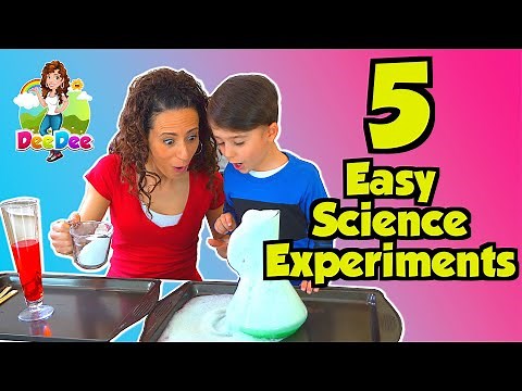 5 Easy Science Experiments for Kids