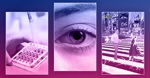 Japan: Where Innovation is Borderless