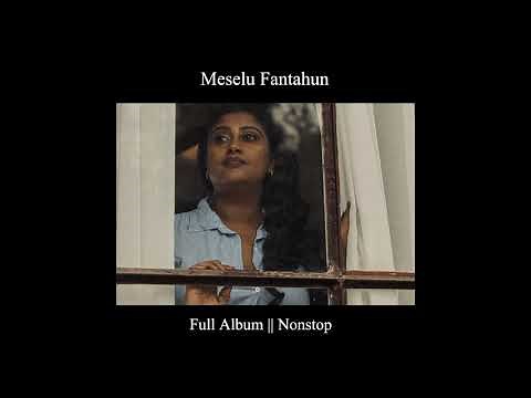 Meselu Fantahun - 2020 Full Album || Nonstop