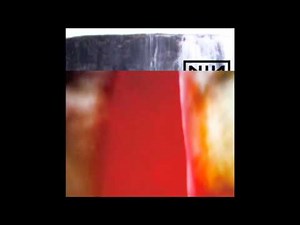 Nine Inch Nails - Please (+Appendage)