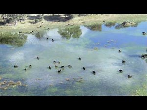 BBC - Planet Earth - Trailer.mp4