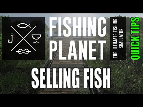 Fishing Planet - Quick Tips - STOP LEAVING THE LAKE