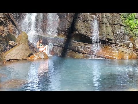 Living Wild In The Rainforest: Swimming under Waterfalls and Growing A Permaculture Food Forest