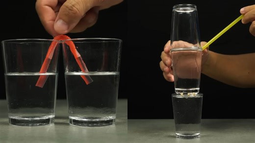 Creative Science Fair Ideas Sparking Curiosity and Fun