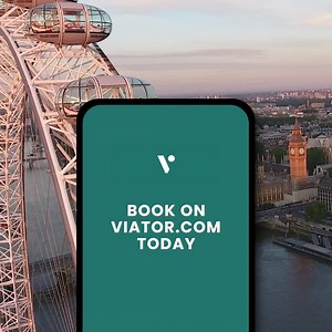 Find amazing things to do. Anytime, anywhere. We're a Tripadvisor company, backed by millions of reviews. | Viator