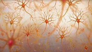 Microservices Architecture and Design Patterns | .Software